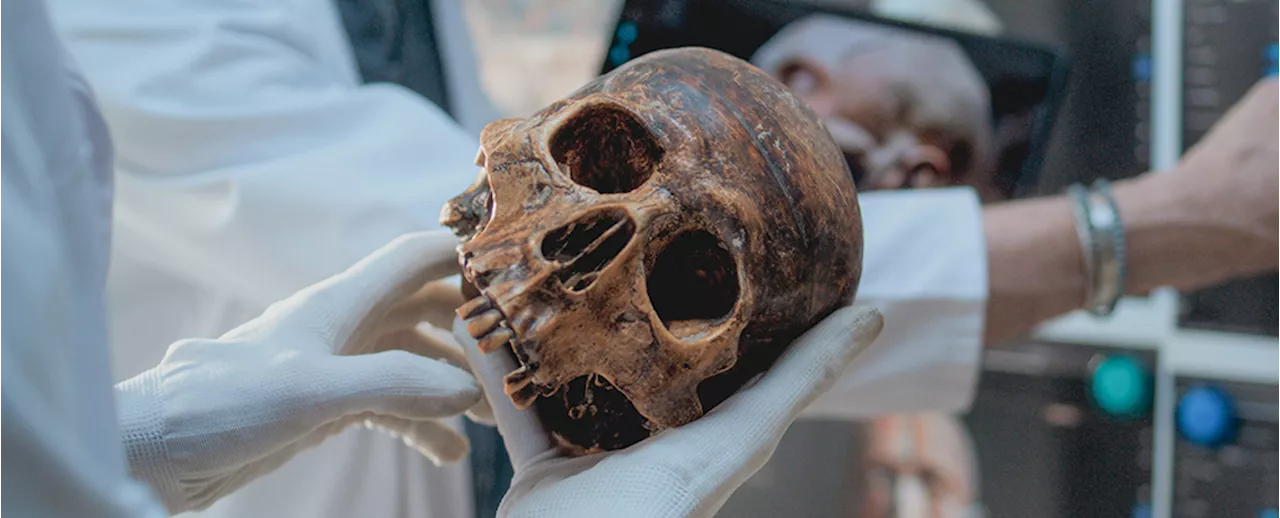 Archaic Humans Might Actually Be The Same Species as Us, Study Suggests