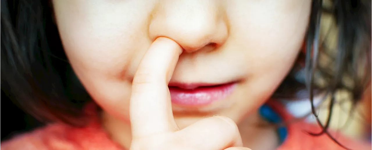 Nose Picking May Increase Dementia Risk: Study