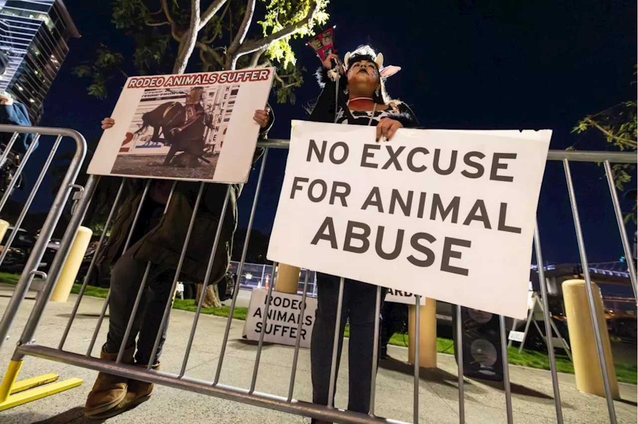 San Diegans Protest Rodeo at Petco Park