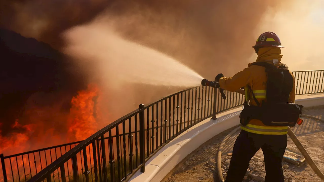 Wildfire Rages Through California's Pacific Palisades, Celebrities Assist Evacuations