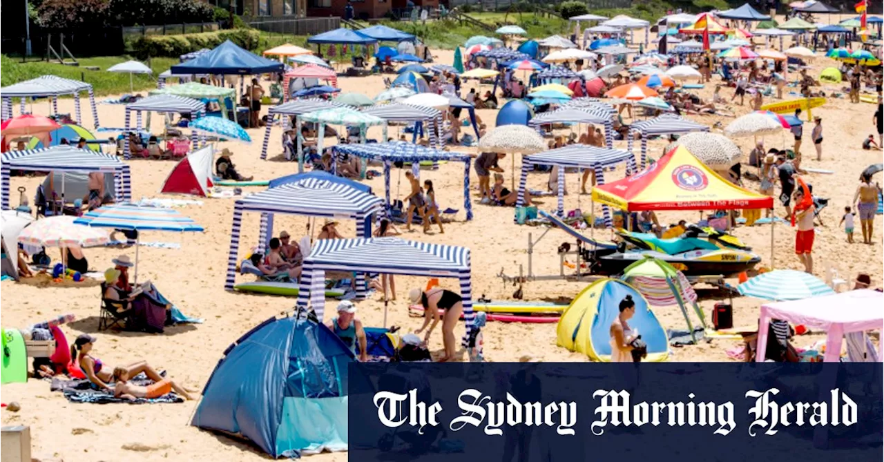 Albanese Condemns Cabana Hoarding on Australian Beaches