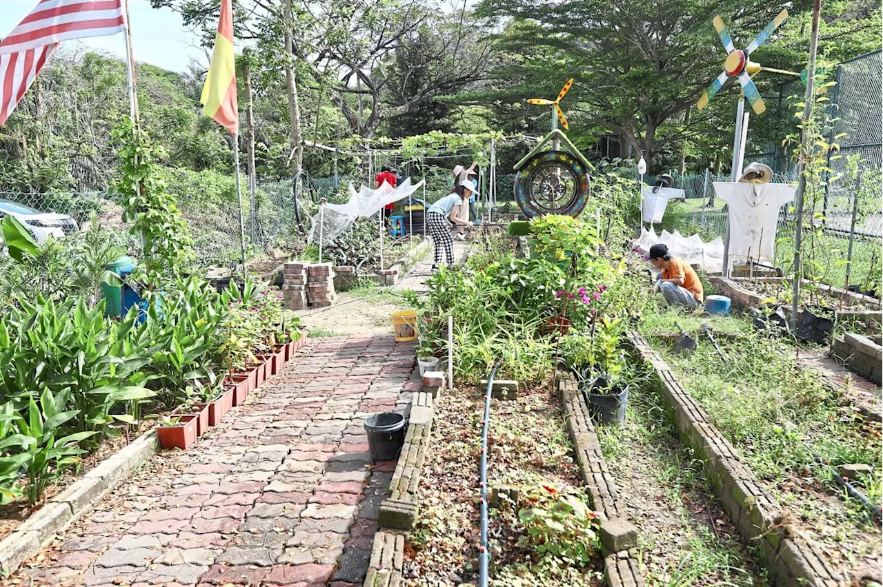 Community Gardens Offer Therapy and Employment Opportunities for Individuals with Disabilities