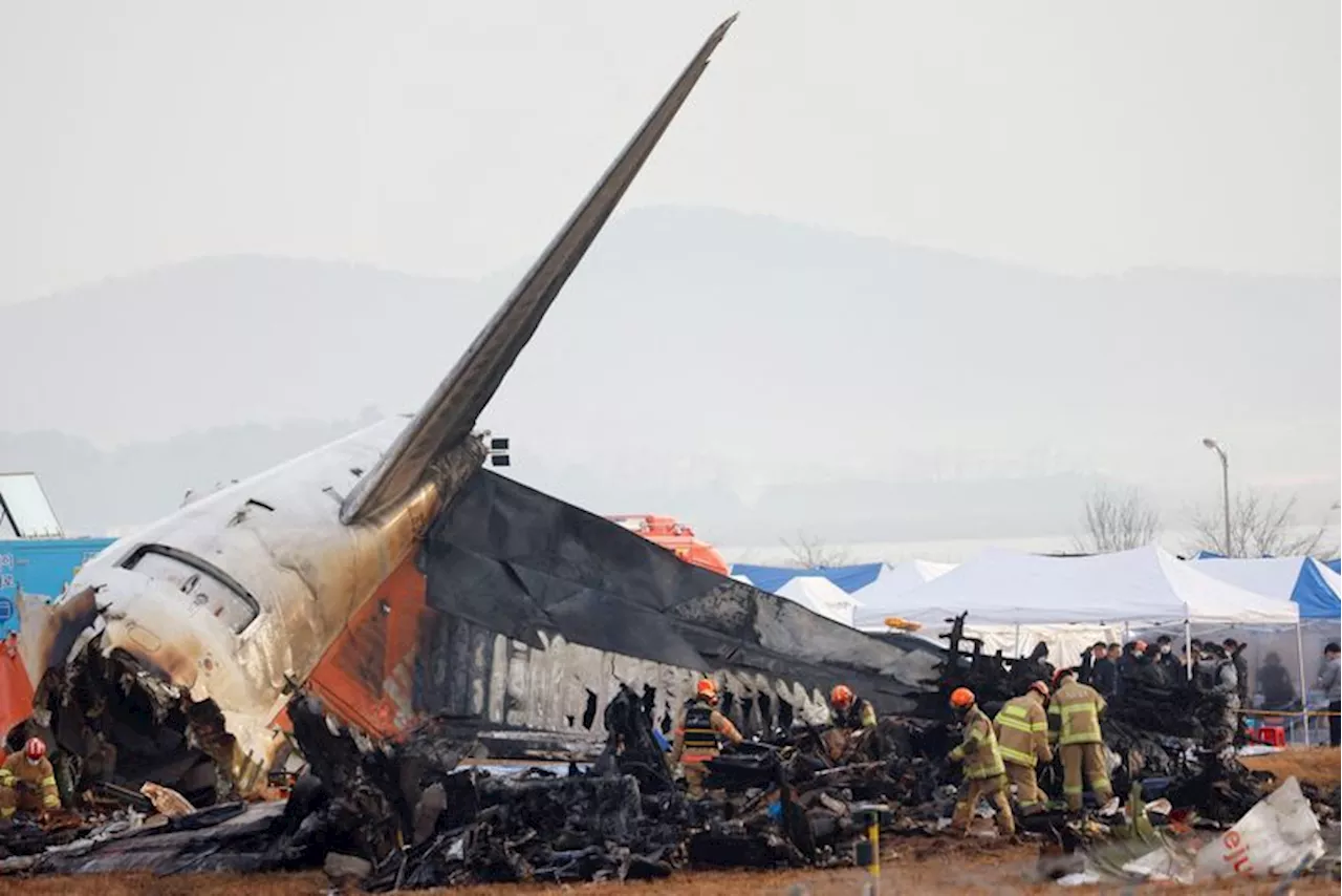 South Korea's Transport Minister to Resign After Fatal Jet Crash