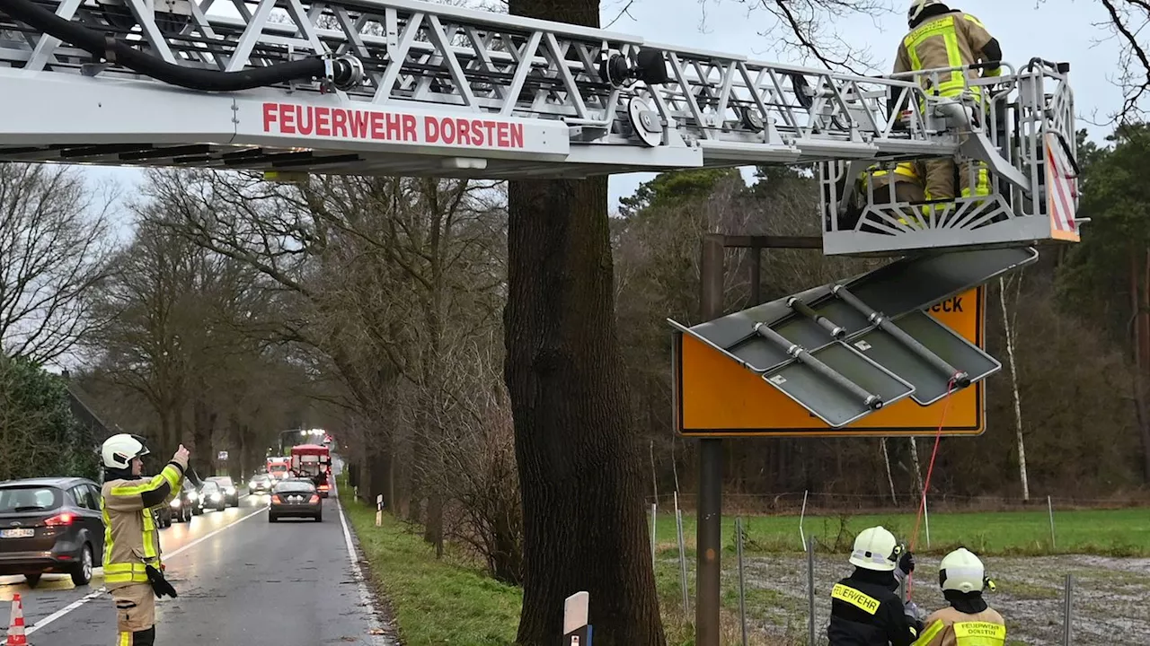 Unwetter in NRW: Sturm fegt über NRW – Zugstrecken gesperrt