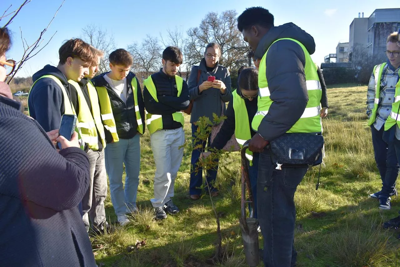 Blanquefort : de la pinède à la mare, les élèves du lycée Léonard-de-Vinci progressent sur le sentier de la biodiversité