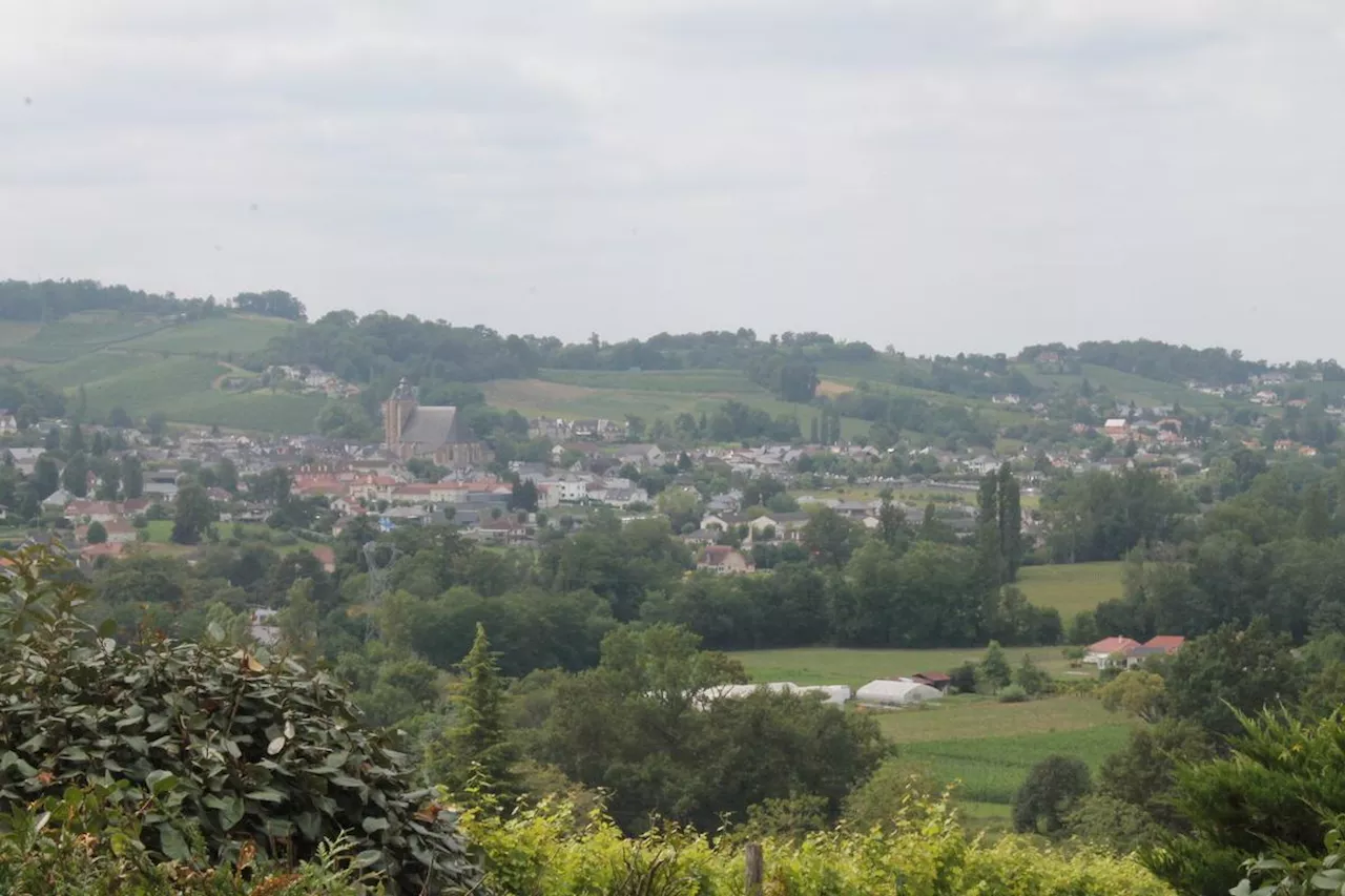 Le Marché Immobilier de Monein : Entre Taux Décroissants et Dynamisme Local