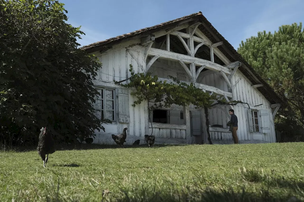 Restauration de la Maison de Maître de Marquèze