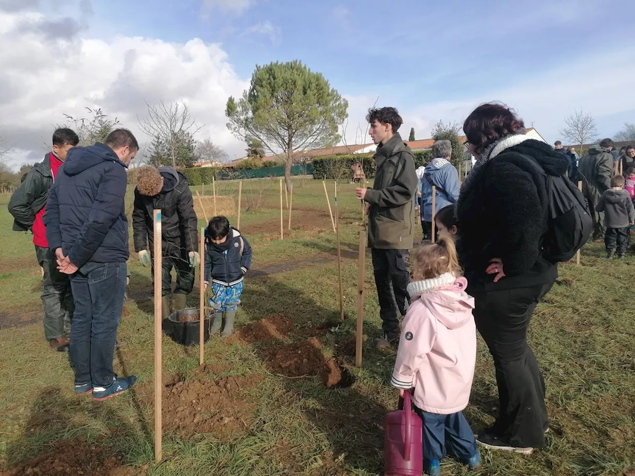 Saint-Jean-d'Angély : Plante 832 arbres pour protéger la biodiversité