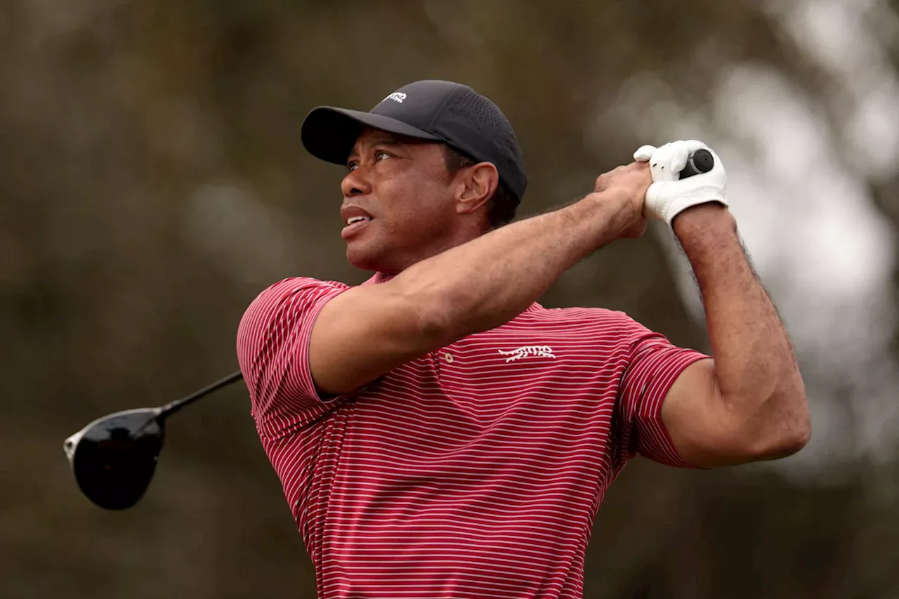 Tiger Woods und Rory McIlroy starten virtuelle Golf-Liga TGL