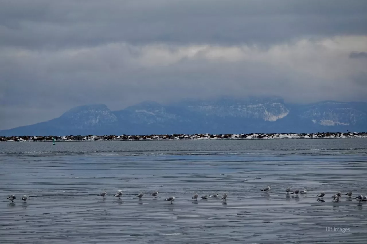 Today in Thunder Bay: January 7, 2025