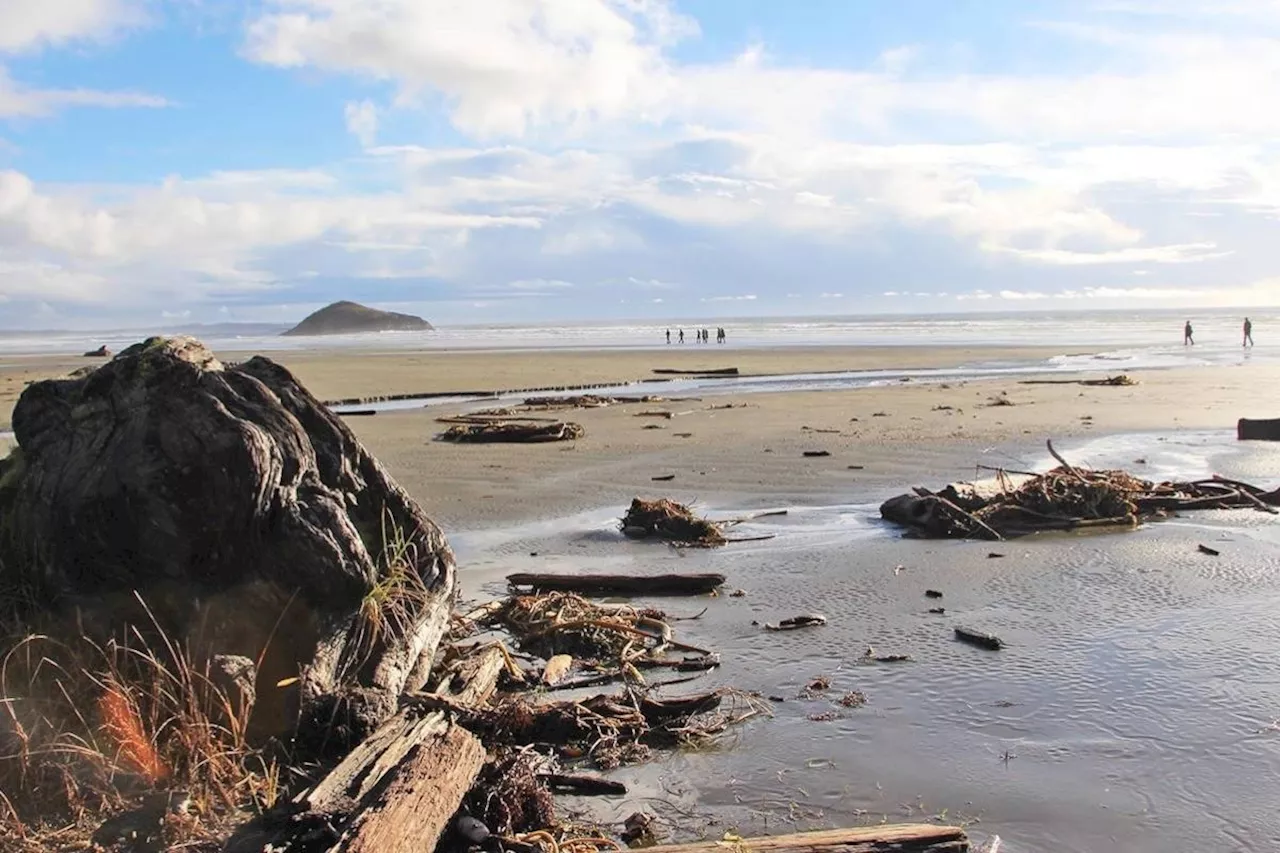 Vancouver Island Makes CNN Travel's 2025 Best Places to Visit List