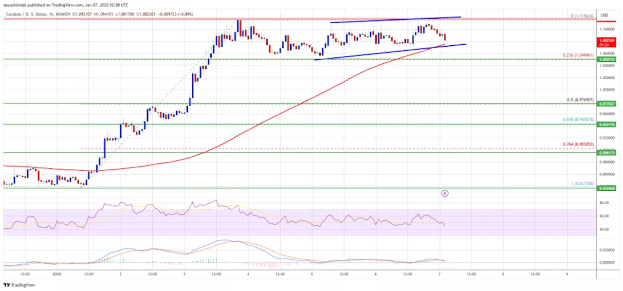 Cardano (ADA) เผยแพร่เหนือ $1.00