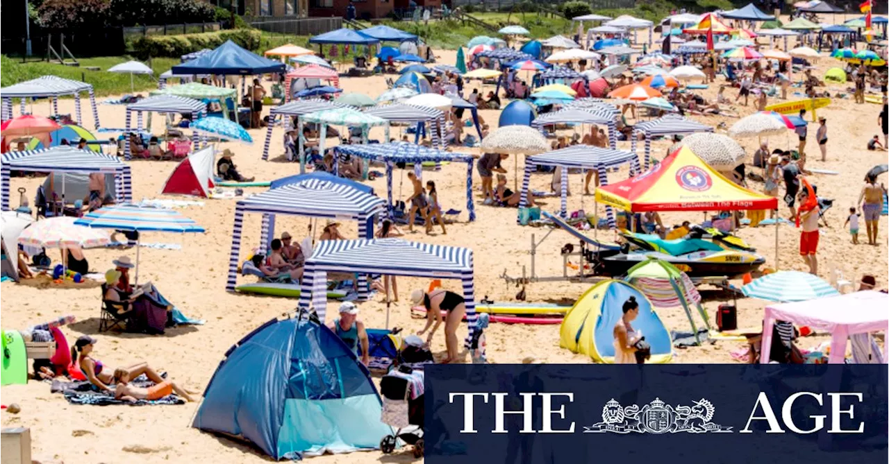 Albanese Criticizes Beach Cabana Trend, Says It Breaches Australian Beach Equality