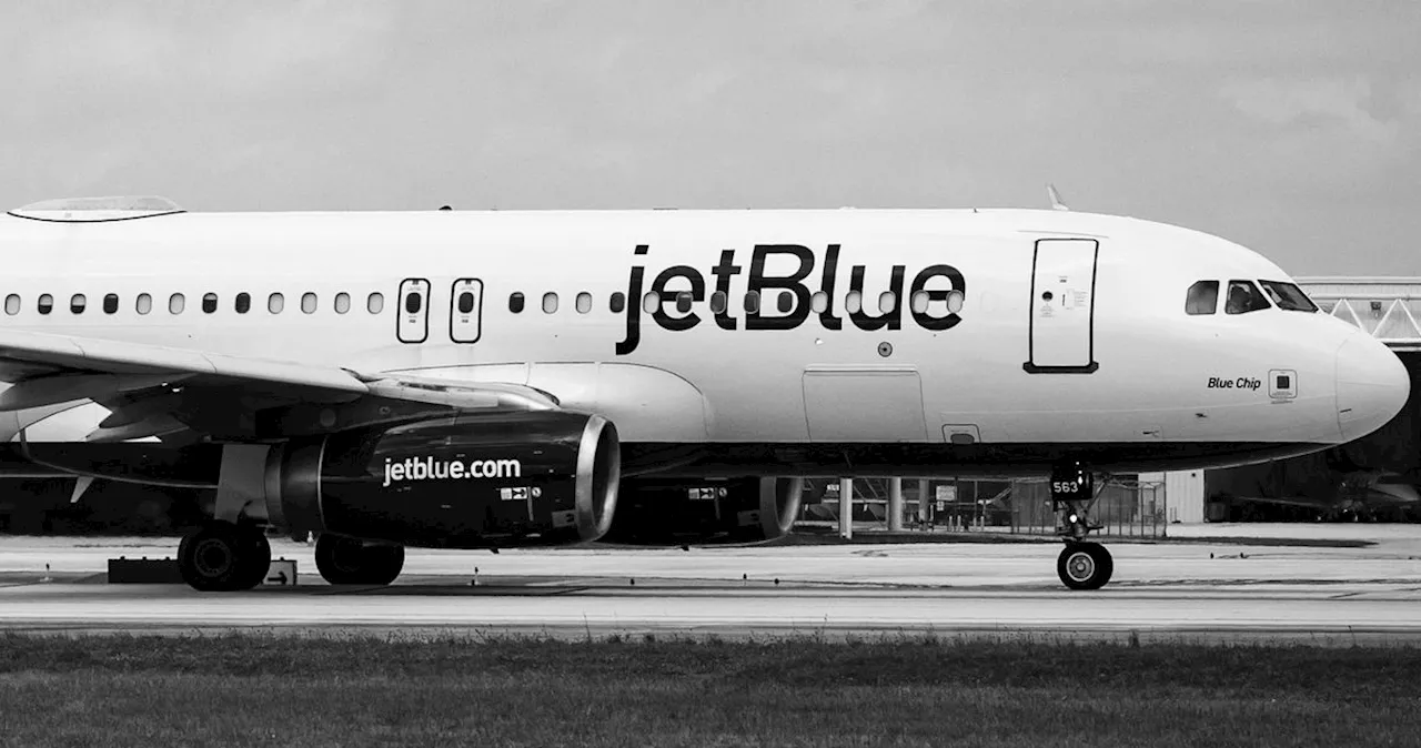 Two Bodies Found in JetBlue Landing Gear Compartment in Fort Lauderdale