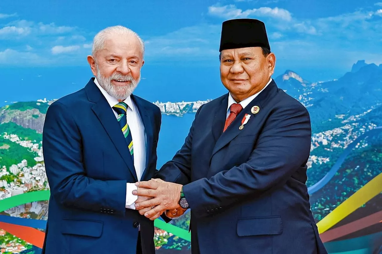 Indonesia Welcomes Brazil's Brics Membership