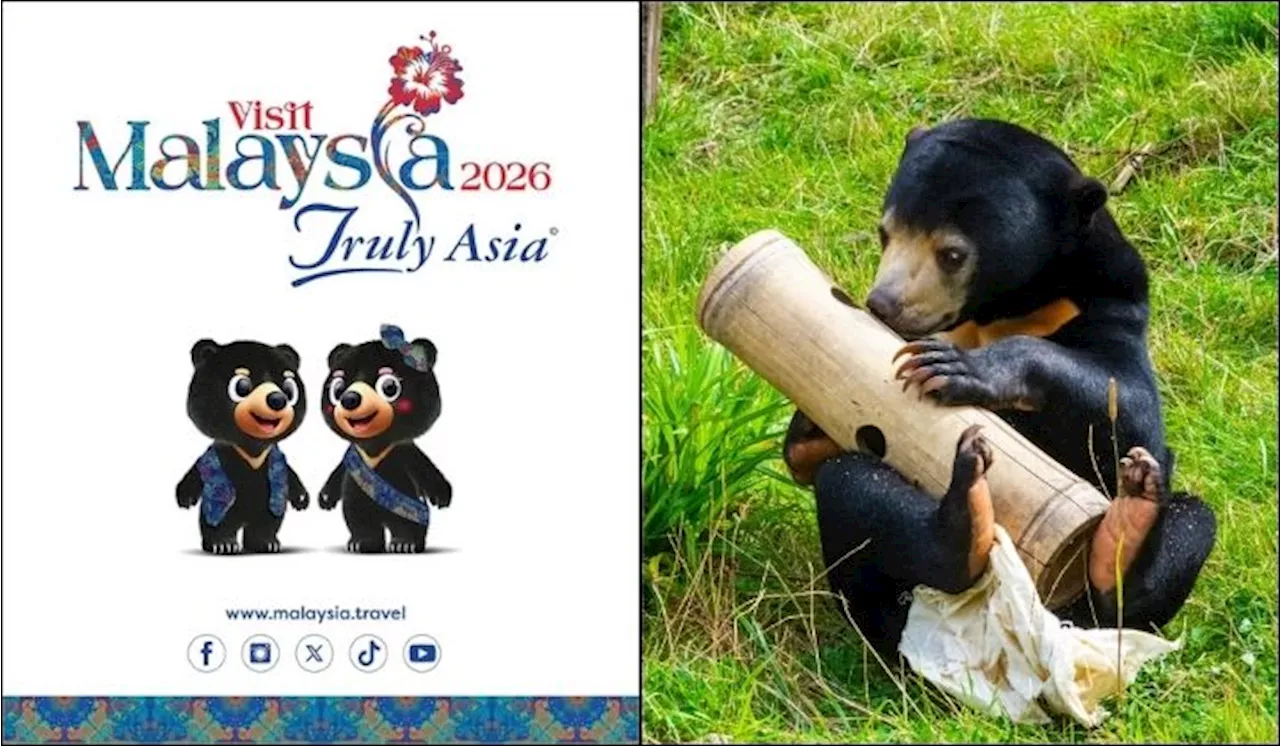 Meet Wira and Manja: Adorable Sun Bears Take Over as Visit Malaysia 2026 Mascots