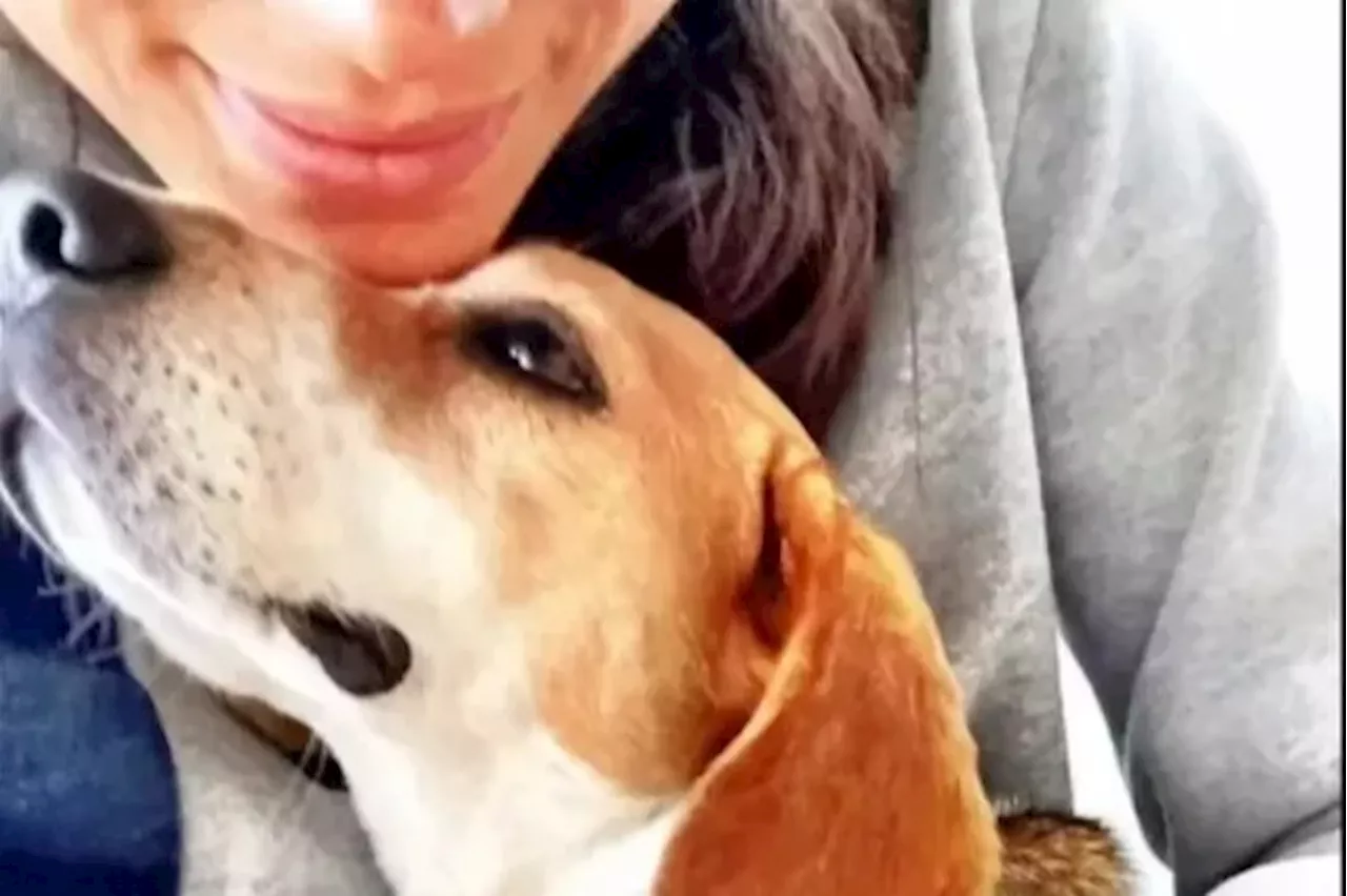 ‘Devastated’ Meghan Markle shares tribute to beagle Guy with sweet video of kids Archie & Lilibet singing ‘...