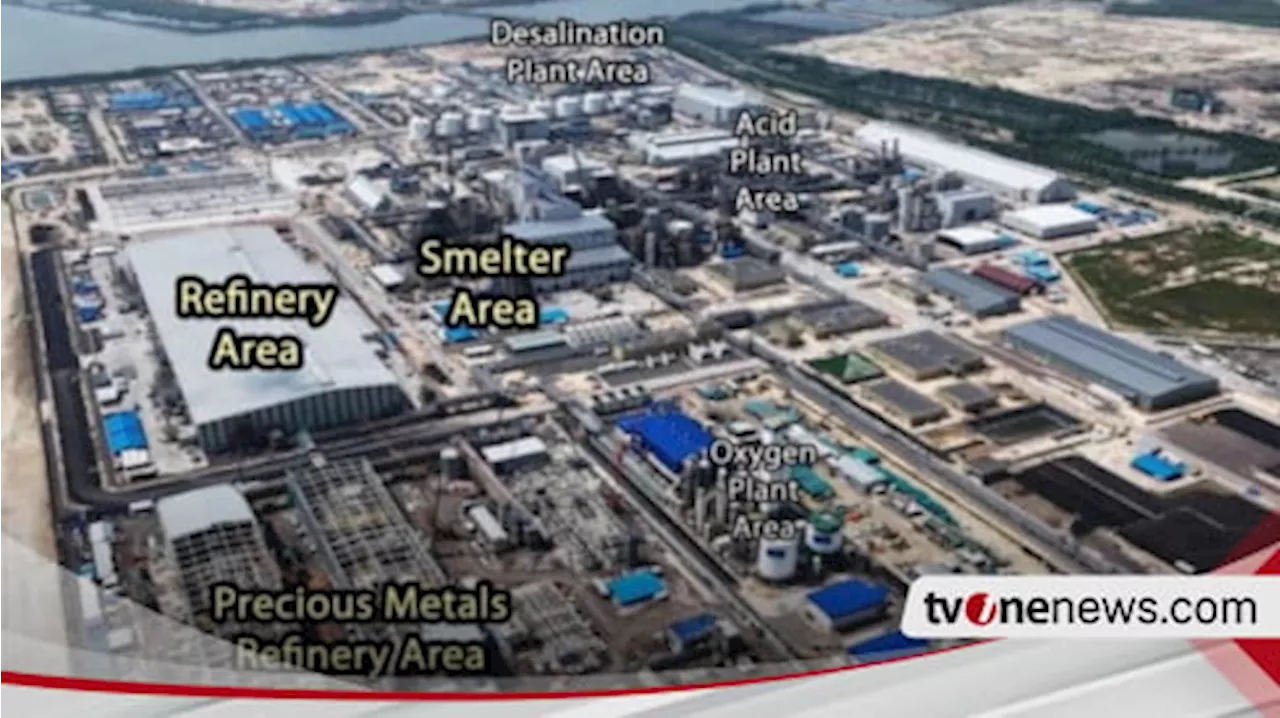 Kemitraan Strategis Penting untuk Hilirisasi Mineral yang Inklusif