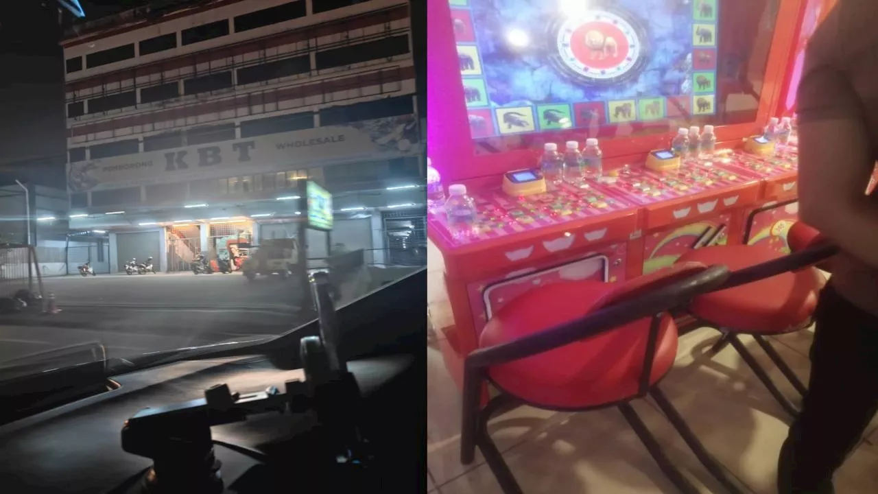 Monkey Gambling Machines Run Rampant in Gombak