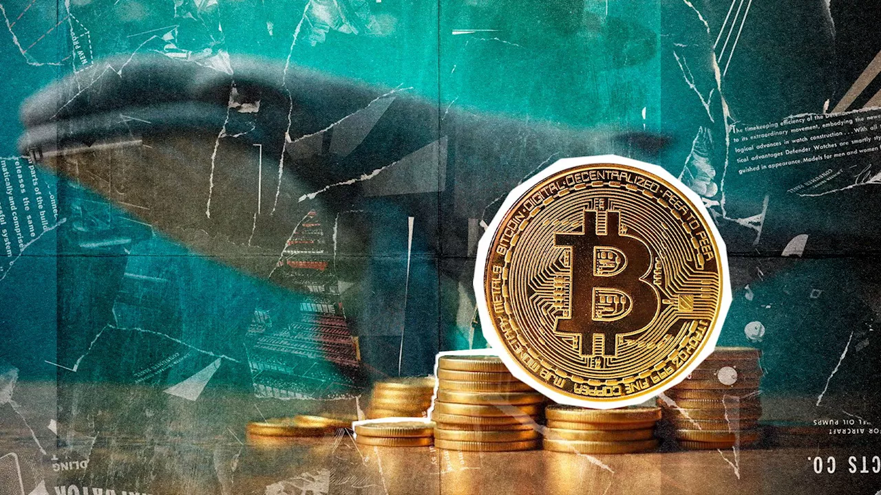 Large Bitcoin Withdrawals from Binance Spark Market Optimism