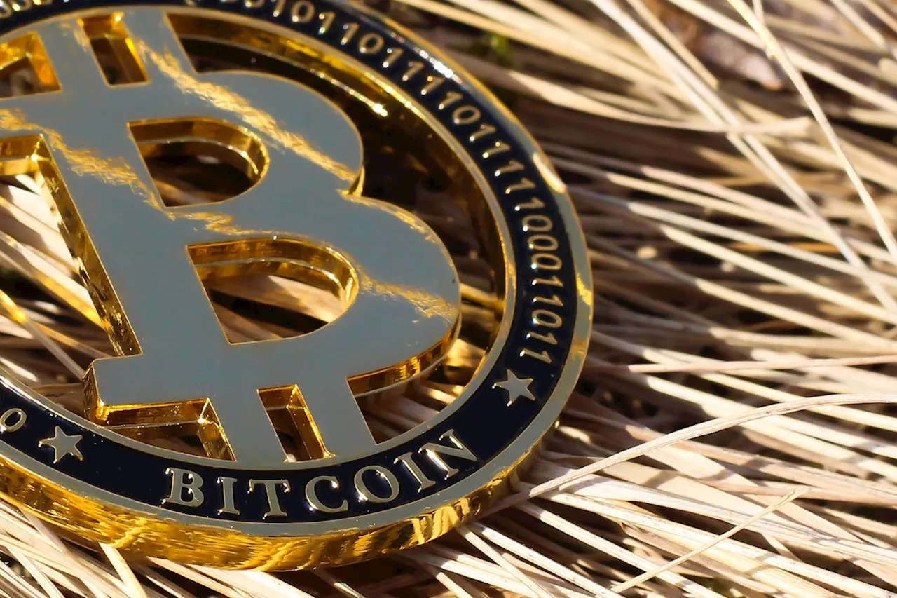 Bitcoin atinge US$ 100 mil em alta com expectativa por posse de novo presidente americano