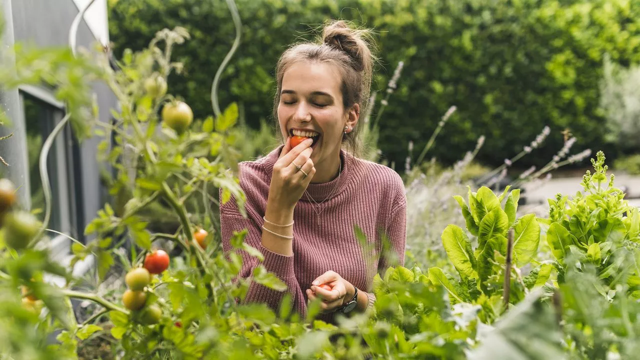 Aliments pour une Longue Vie : L'Étude Nature Food