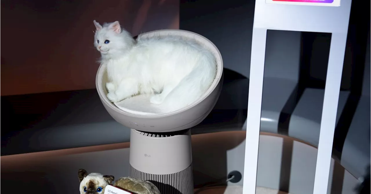 LG's AeroCatTower: A Cat-Friendly Air Purifier with Built-in Scale