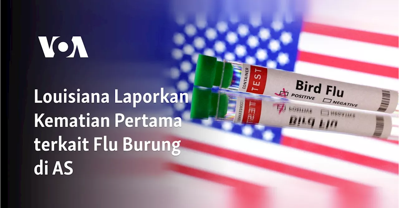 Kematian Pertama Akibat Flu Burung di AS