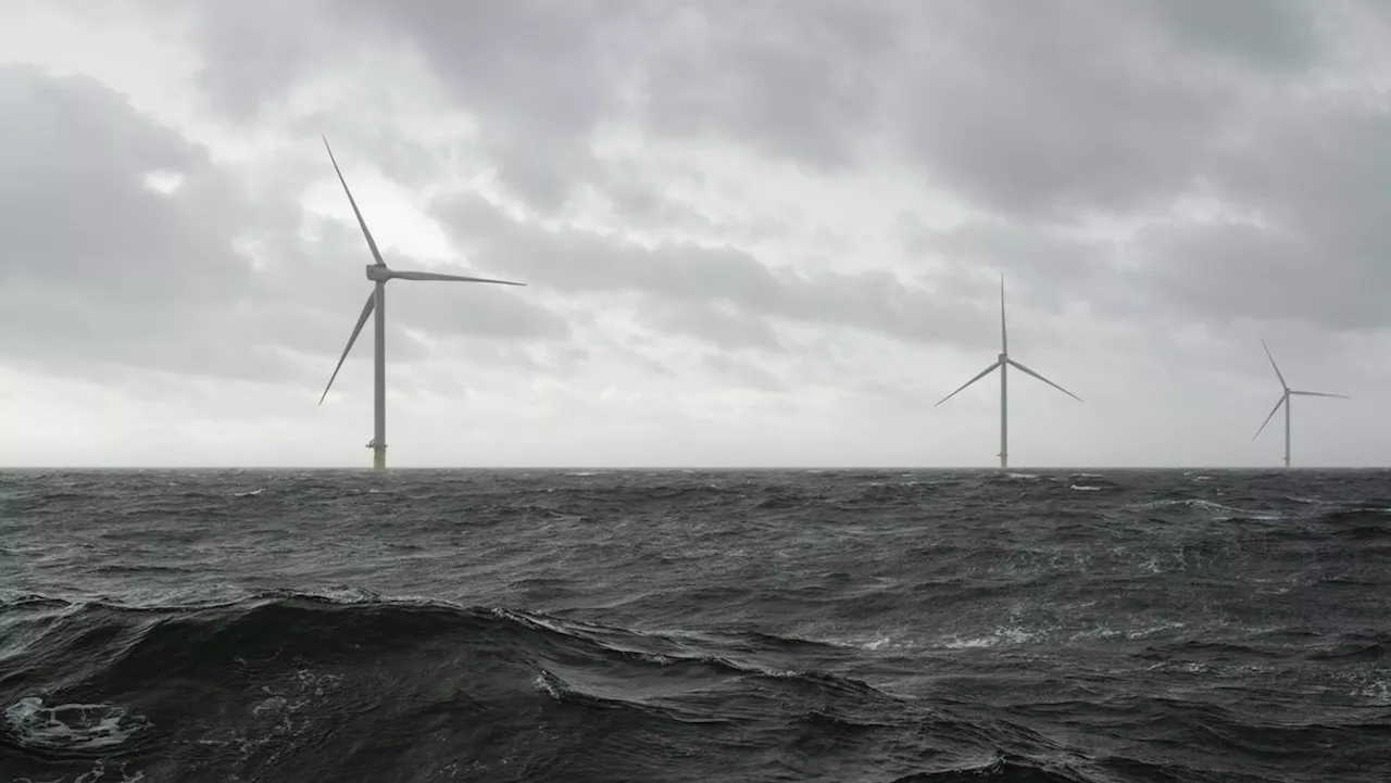 Wetter am Dienstag: DWD warnt vor leichten Sturmböen an der Nordsee