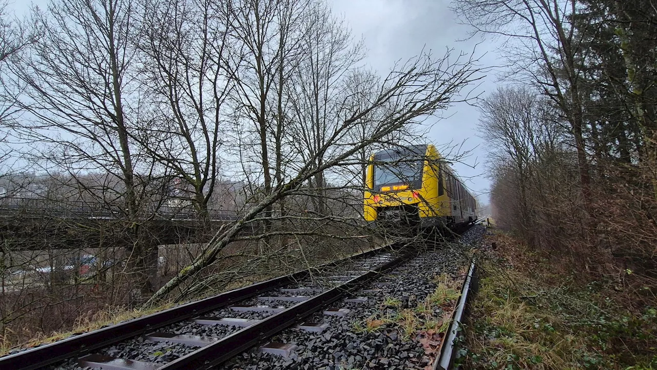 Sturmtief sorgt für Einsätze in Nordrhein-Westfalen