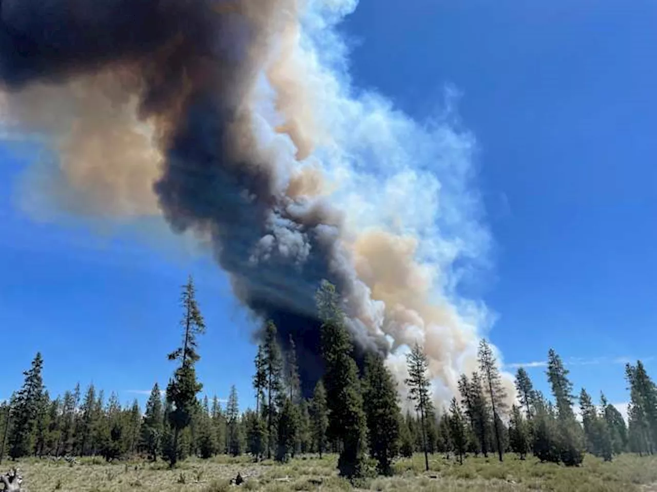 Oregon Homeowners Face New Wildfire Safety Rules