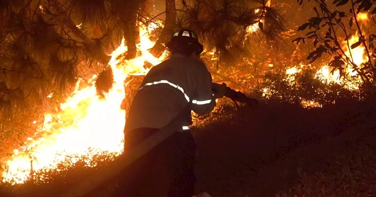 Fire crews quickly contain small brush fires in Kensington & Miramar