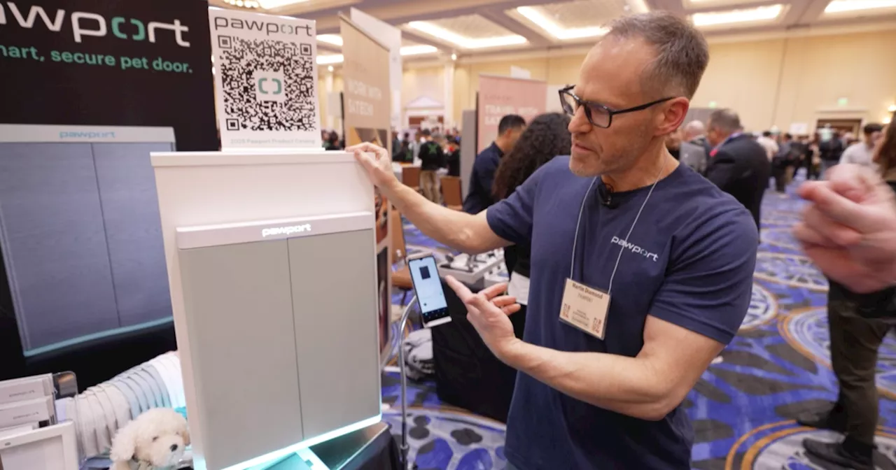 Smart Gadgets Steal the Show at CES 2025