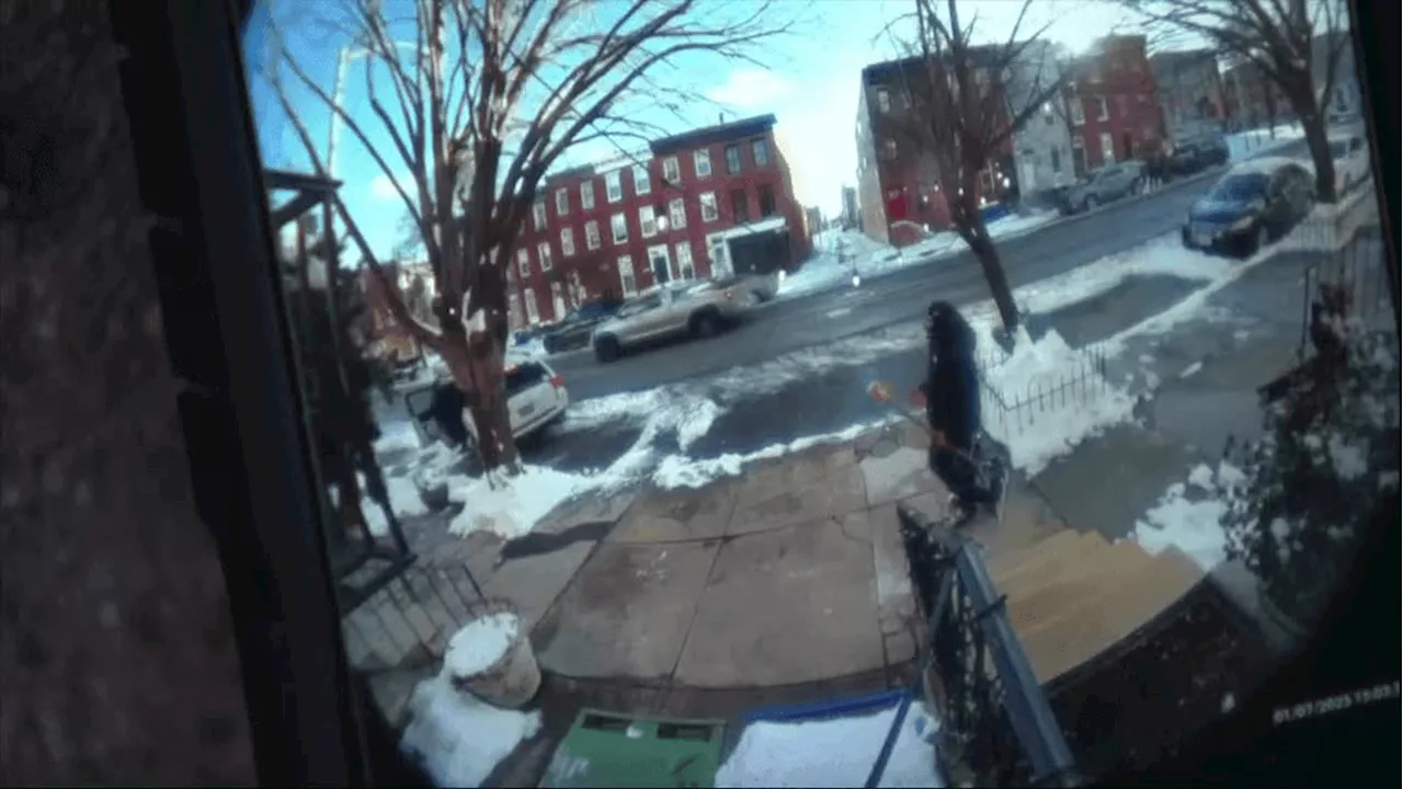 Armed juveniles carjack Baltimore man in broad daylight; Ring camera captures daring heist