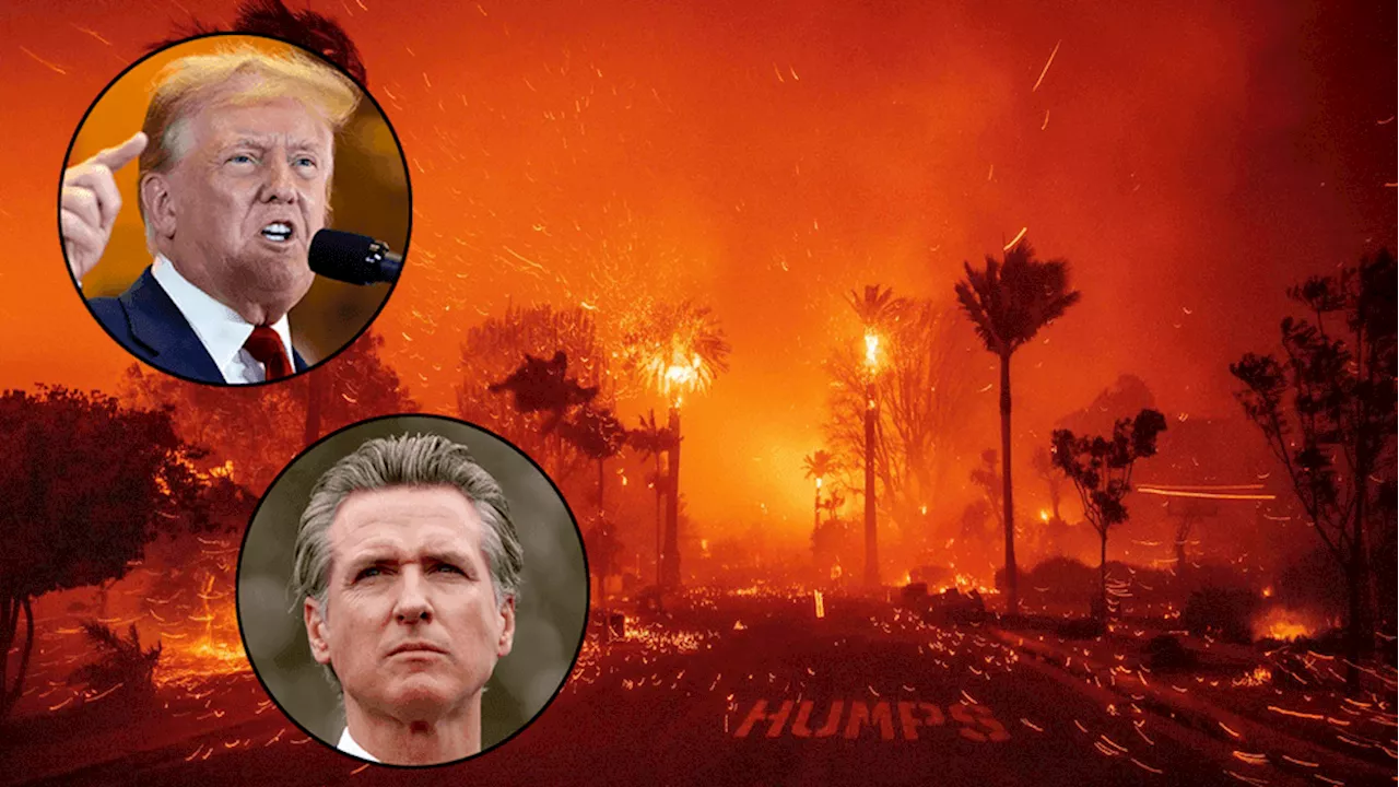 Trump Blames Newsom for California Wildfires