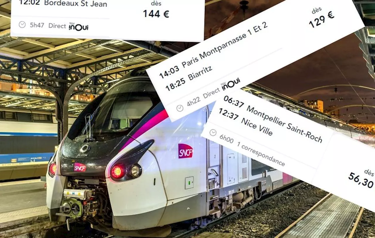 Le Train Francais: Cher ou Pas Cher ?