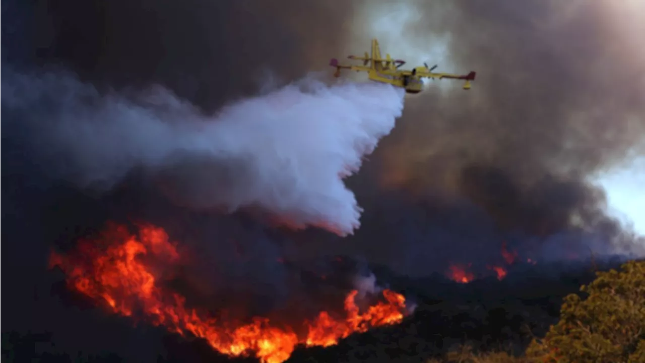 Wildfire Ravages Pacific Palisades, Forcing Evacuations