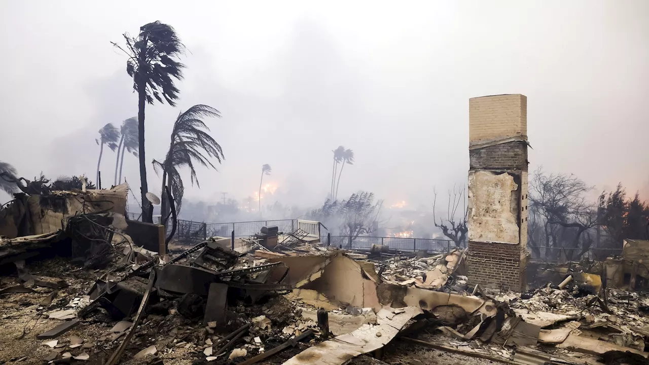 A perfect storm of weather and climate conditions led to the severity of the California fires