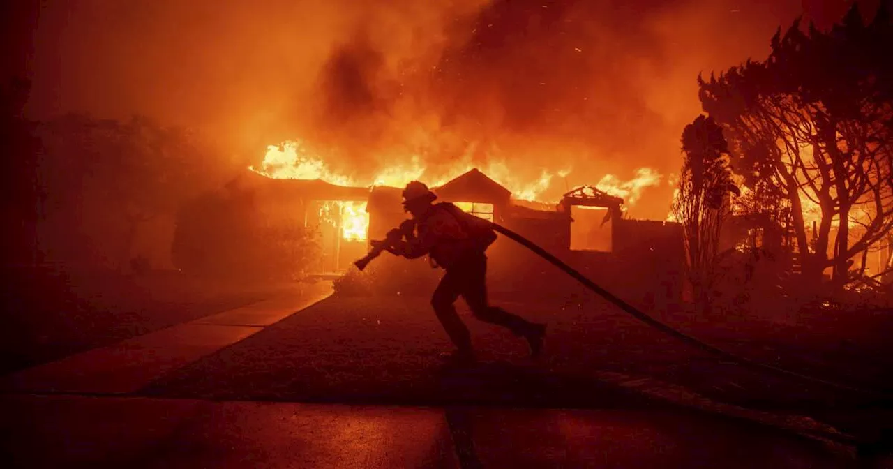 Harris' Neighborhood Evacuated as Wildfires Rage in California