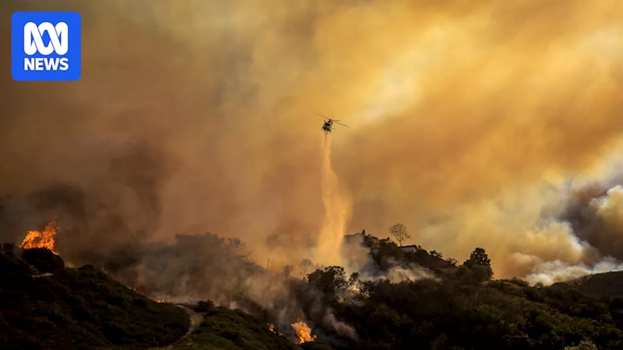 Fast-Moving Wildfire Rages in Los Angeles