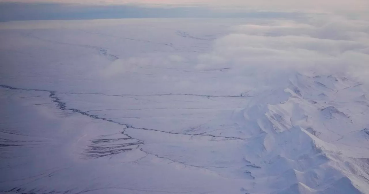 Arctic National Wildlife Refuge Sees Second Oil Lease Sale With No Bids