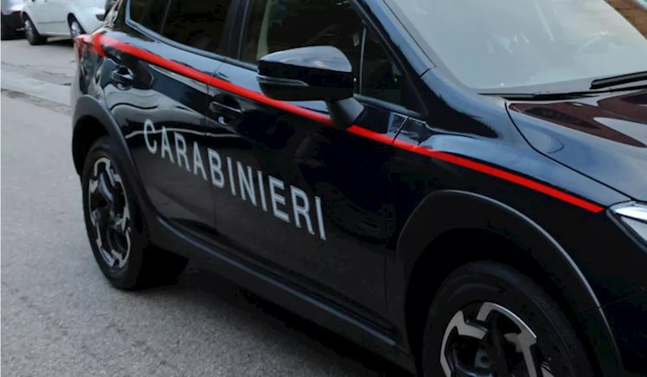 Donna uccide compagno con un coltello durante lite a Schio