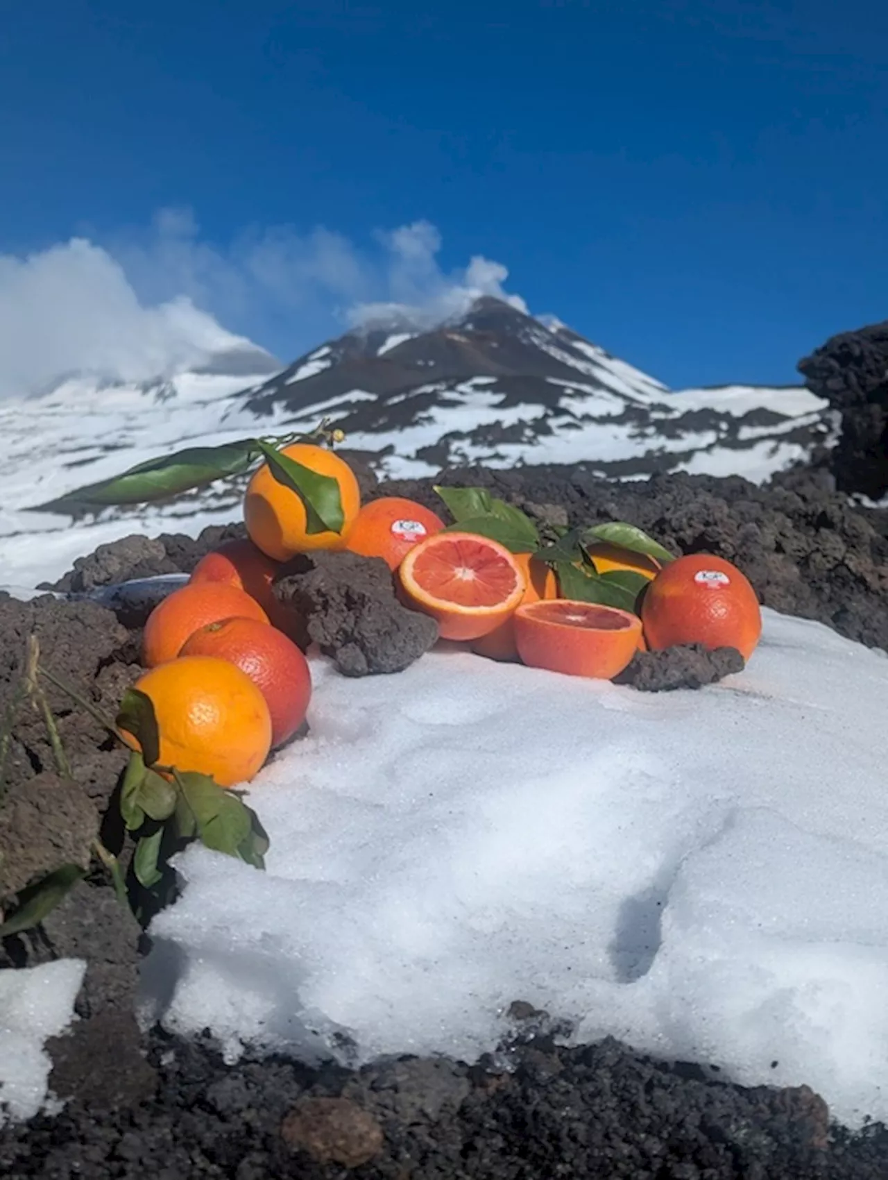 Arancia Rossa Igp: Sforzi per la Qualità e Omaggio all'Etna