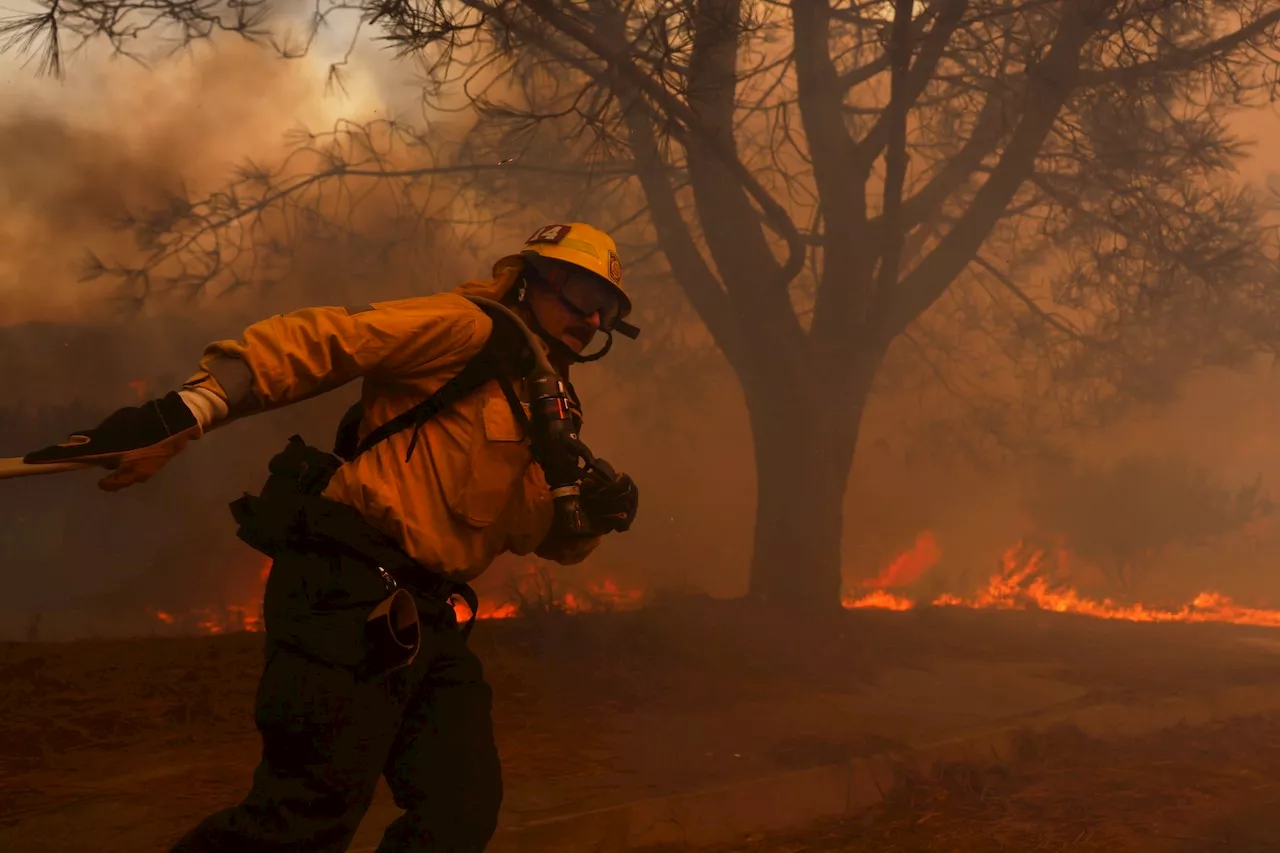 James Woods Loses Home in Southern California Wildfires