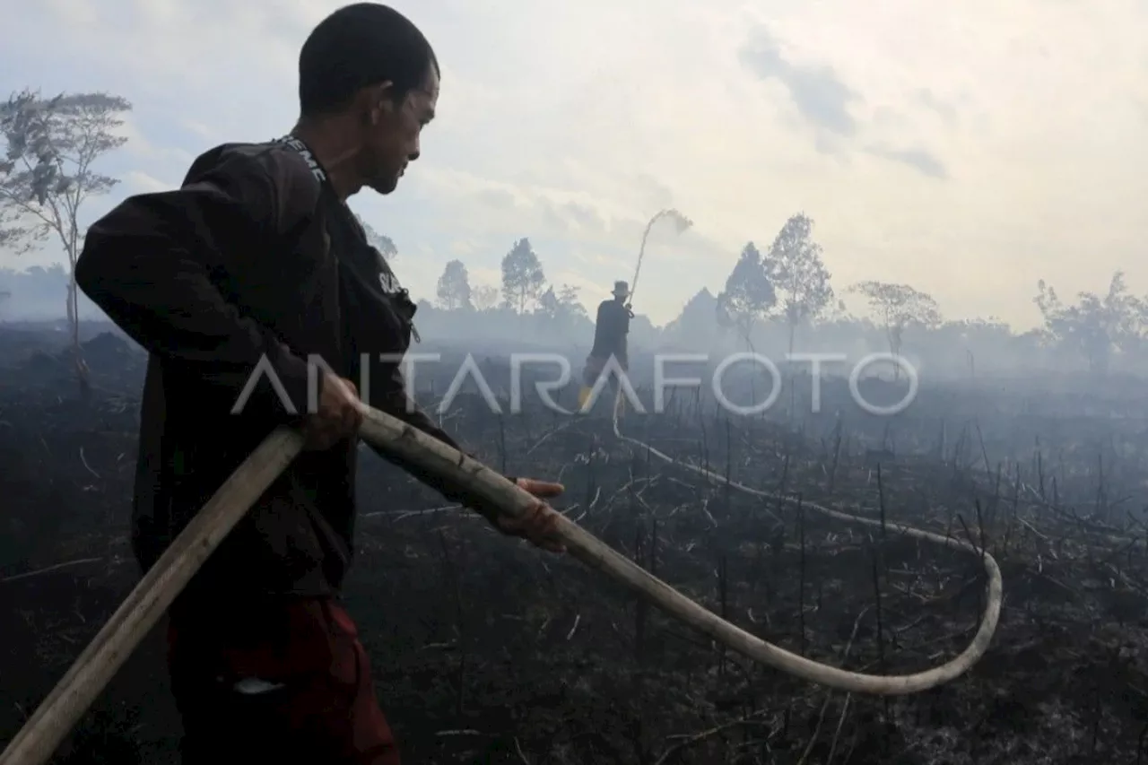 Kebakaran Hutan di Los Angeles Paksakan 30.000 Orang Mengungsi