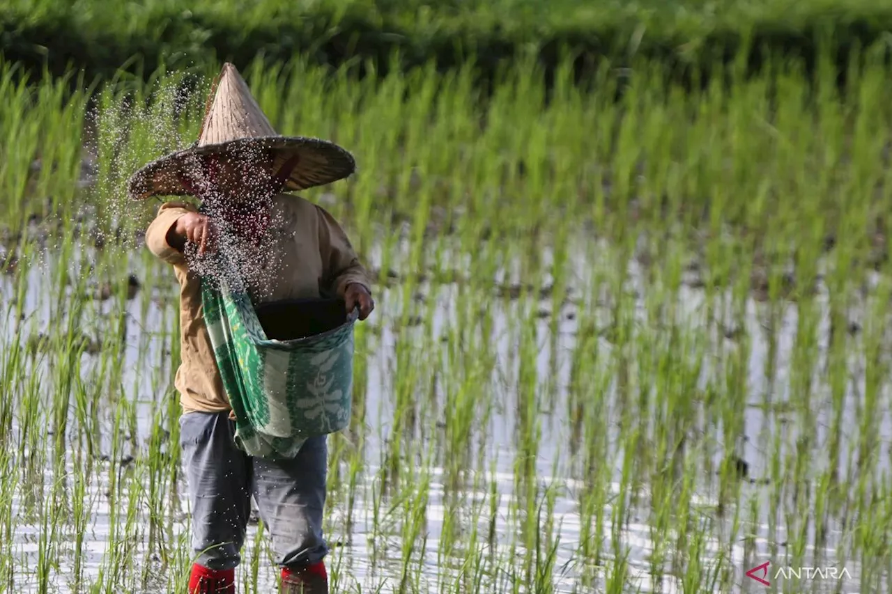 Perpres Tak Cukup, Produk Keuangan di Sektor Pertanian Butuh Penyesuaian