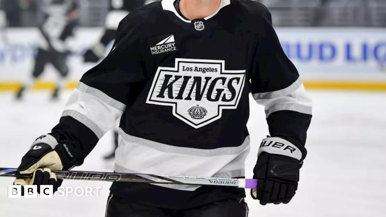 Los Angeles Kings Postpone Game Due to Wildfires