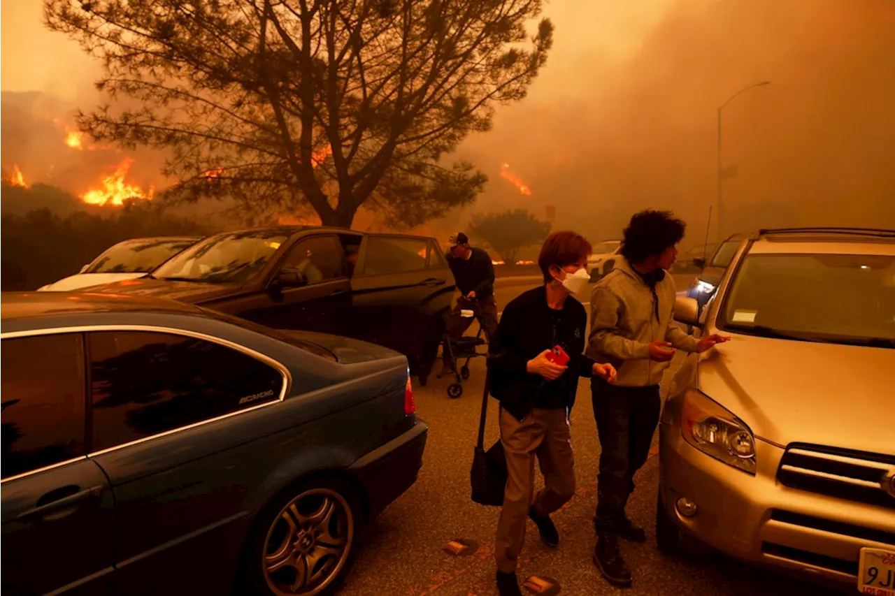 Feuerinferno bei Los Angeles: Zehntausende müssen fliehen, auch Hollywood-Promis betroffen