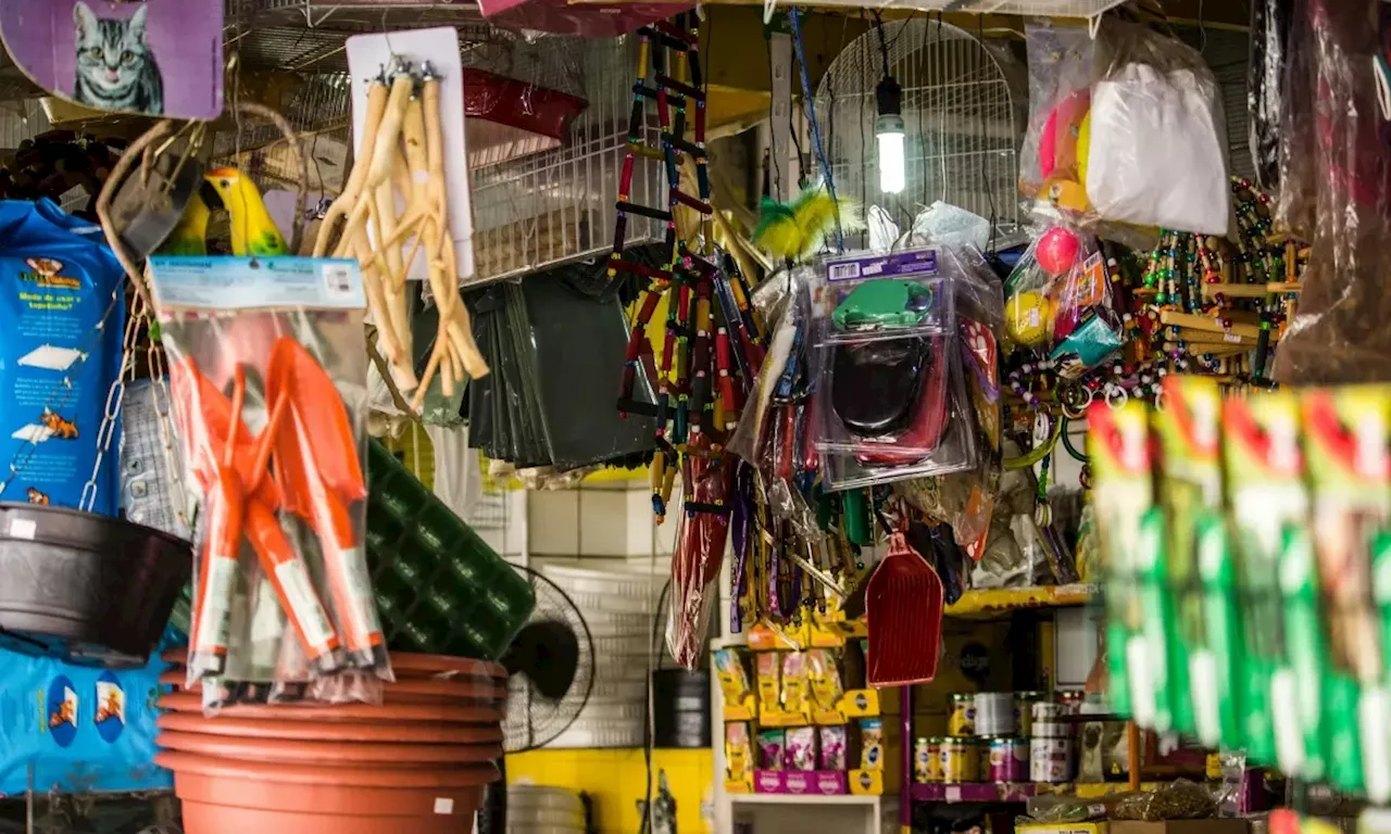 Asesinato en tienda de mascotas en Usaquén, Bogotá