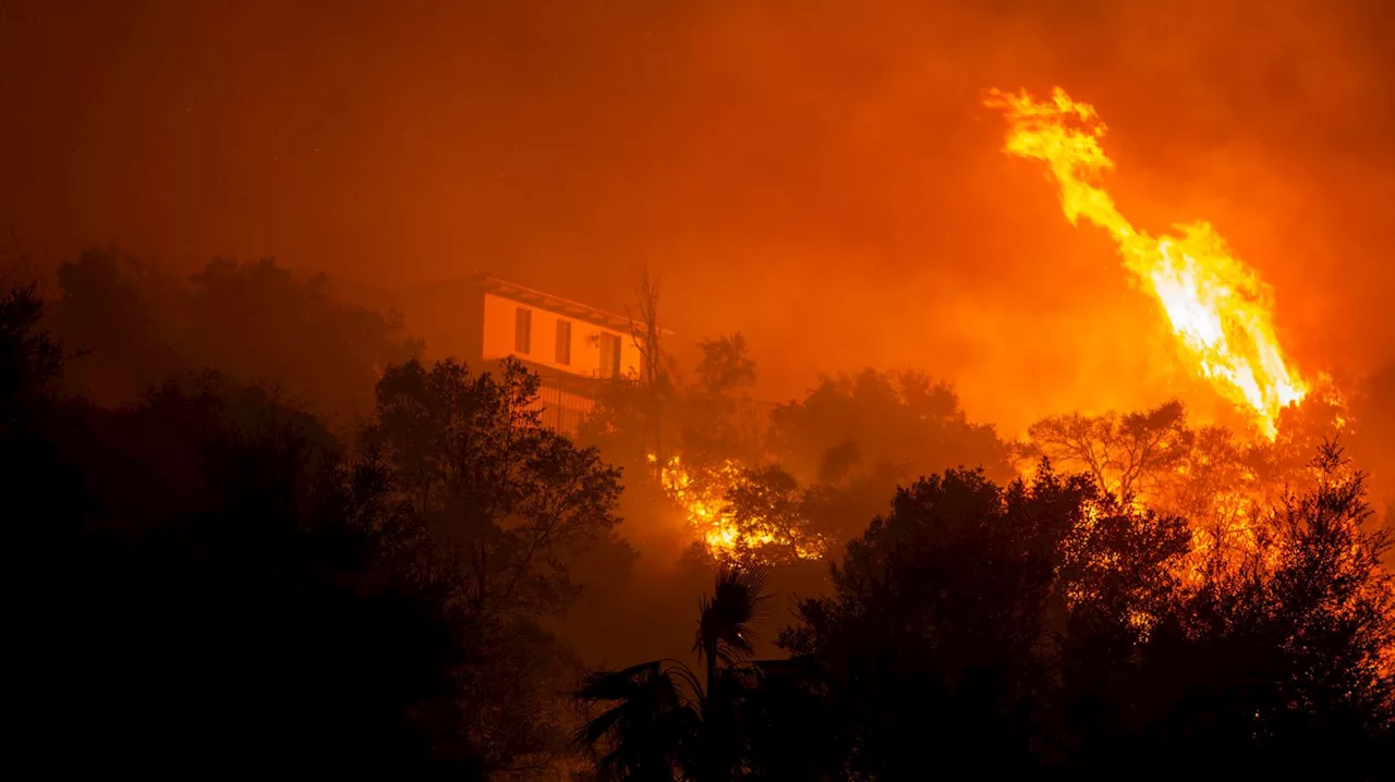 Waldbrände in Kalifornien: Zerstörung und Flucht vor den Flammen